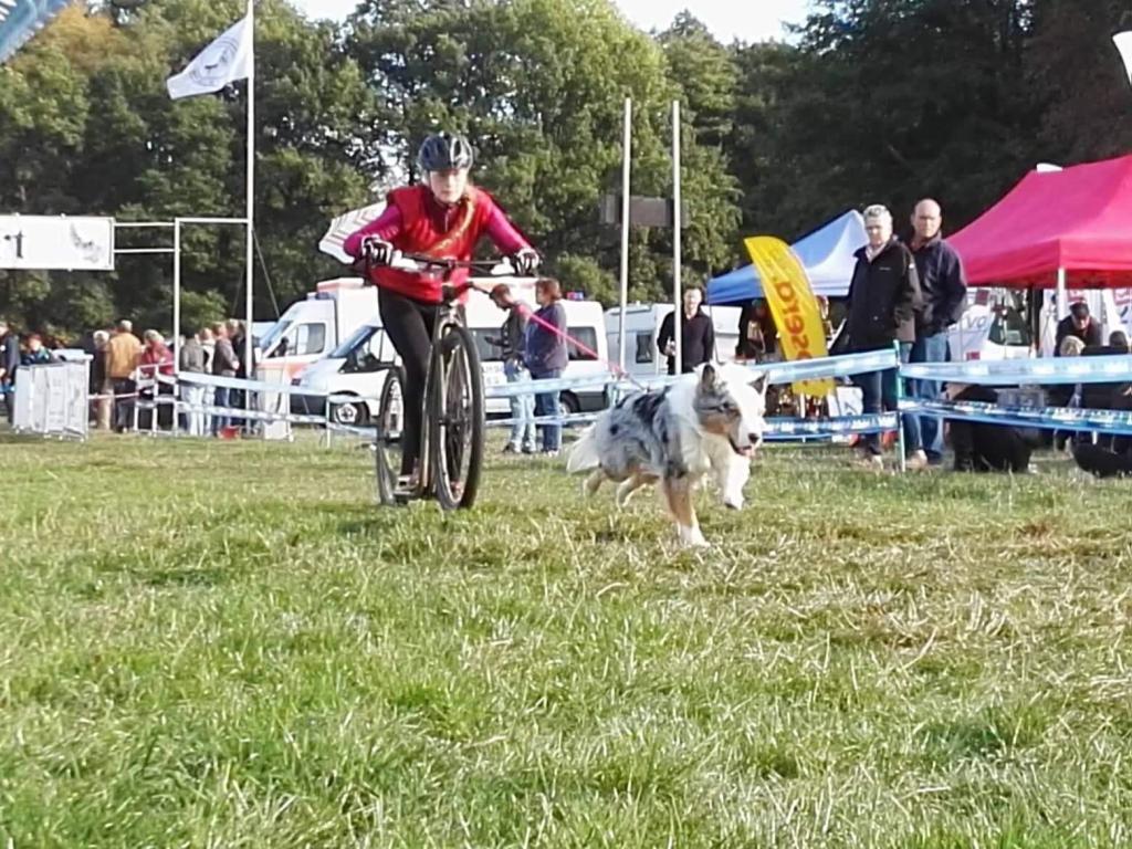 Dieses Bild hat ein leeres alt-Attribut; sein Dateiname ist whatsapp-image-2020-02-15-at-21.09.58.jpeg.